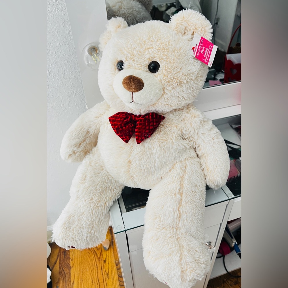 VALENTINES BEAR 🐻❤️